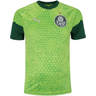 Imagem da oferta Camisa de Treino do Palmeiras 24 Puma Masculina - Tam G