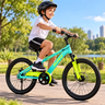Imagem da oferta Bicicleta Infantil Aro 20 Mtb - Verde