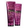 Imagem da oferta Combo Siàge Pro Cronology: Shampoo 250ml + Condicionador 200