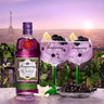 Imagem da oferta Gin Tanqueray Royale Dark Berry - 700ml