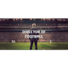Imagem da oferta Director of Football