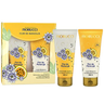 Imagem da oferta Kit Sabonete Líquido + Loção Hidratante Flor Maracujá