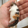 Imagem da oferta Kit de gato feito à mão de lã de ovelha DIY bolsa de material de feltragem de agulha para iniciantes presentes de a