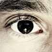 Avatar do membro Guilherme Junqueira
