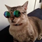 Avatar do membro Re Nato