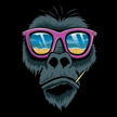 Avatar do membro Matheus