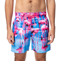 Imagem da oferta Shorts Água Flamingos