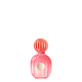 Imagem da oferta Perfume Banderas The Icon Splendid Feminino Eau de Parfum 50 ml - - Produtos para Cabelo Perfumes e Maquiagen