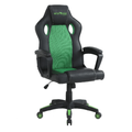 Imagem da oferta Cadeira Gamer Viper Pro Python Reclinável Giratória