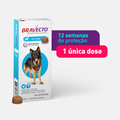 Imagem da oferta Bravecto 20 a 40kg antipulgas