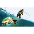 Imagem da oferta Jogo Pro Fishing Simulator - PS4