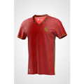 Imagem da oferta Camiseta Internacional Gold Masculina