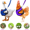 Imagem da oferta Coleira - Arnês Ajustável Chicken Leash Confortável e Respirável Vest para Frango Pato Ganso
