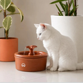 Imagem da oferta Fonte Bebedouro de Água para Cães e Gatos Bivolt Aqua Clay 360 2,5 Litros - Amicus