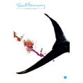Imagem da oferta eBookO velho e o Mar - Ernest Hemingway