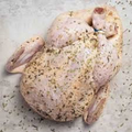 Imagem da oferta Frango Temperado Já Pro Forno Swift Aproximadamente 2,5 Kg