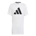 Imagem da oferta Camiseta Train Essentials AEROREADY Logo Adidas