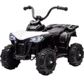 Imagem da oferta Quadriciclo Eletrico Shiny Toys Mini ATV Overland 6V Branco