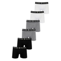 Imagem da oferta Kit 6 Cuecas Boxer Algodão Polo Wear Sortido P