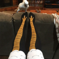 Imagem da oferta Homens engraçados 3d meias de frango impressão dos desenhos animados cosplay alta flexibilidade
