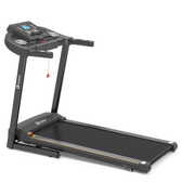 Imagem da oferta Esteira Ergométrica Elétrica Gallant Elite 2.5hp 14Km/h 120Kg (GEE12)