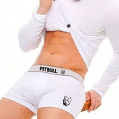 Imagem da oferta 3 Cuecas Boxer PREMIUM Masculino Cueca Box Masculina