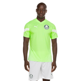 Imagem da oferta Camisa de Treino do Palmeiras 23 Puma Masculina Torcedor