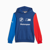 Imagem da oferta Moletom com Capuz Puma BMW M Motorsport Essentials Juvenil - Tam 8