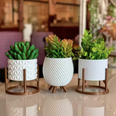 Imagem da oferta Kit 3 Vasos Com Cachepot