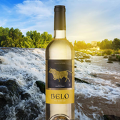 Imagem da oferta Bodegas Los Tinos Vinho Belo Verdejo Branco Espanha 750Ml