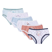 Imagem da oferta Kit 6 Calcinhas Infantil Disney Princesas 100% Algodão Lupo