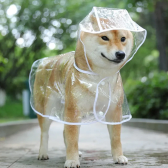 Imagem da oferta Capa de Chuva Pet Com Capuz