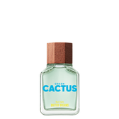 Imagem da oferta Perfume United Colors of Benetton United Dreams Green Cactus Masculino EDT - 100ml