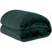 Imagem da oferta Cobertor Casal Manta Microfibra Fleece 01 Peça Verde