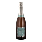 Imagem da oferta Espumante Brasileiro Branco Doce Terranova Moscatel Vale do São Francisco Garrafa 750ml