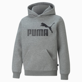 Imagem da oferta Moletom com Capuz Puma Essentials Big Logo Fleece Juvenil - Tam 6A