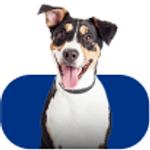 Imagem da oferta 10% de Desconto em Todo o Site da Cobasi