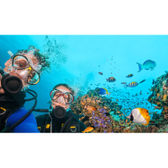 Imagem da oferta Pacote de Viagem para Maceió + Maragogi + Porto de Galinhas - 7 dias e 6 noites