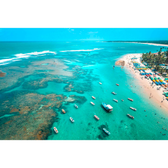 Imagem da oferta Porto de Galinhas te Chama: Pacotes a Partir de R$ 1.422 por Pessoa!