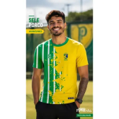 Imagem da oferta Camiseta Masculina Torcida Porco Brasil Dry fit premium torcedor