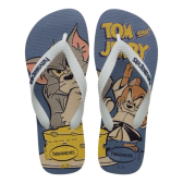 Imagem da oferta Chinelo Havaianas Top Warner Classics