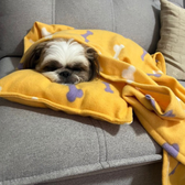 Imagem da oferta Kit Aconchego Pet Manta com Travesseiro