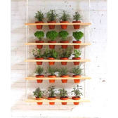 Imagem da oferta Jardim Suspenso Com 5 Prateleiras Verticais +brinde 20 Vasos