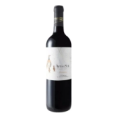 Imagem da oferta Vinho Chileno Tinto Aves Del Sur Carmenère Garrafa 750ml