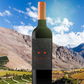 Imagem da oferta Picarón Vinho Carmenere 750Ml