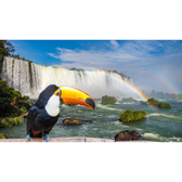 Imagem da oferta Pacote para Foz do Iguaçu: entre Cataratas e Culturas à Partir de R$ 1.626 por Pessoa!