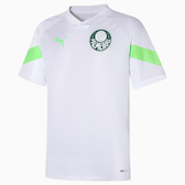 Imagem da oferta Camiseta de Treino Palmeiras Puma Torcedor - Masculino