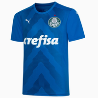 Imagem da oferta Camisa do Palmeiras Puma Goleiro I 22/23 - Masculina