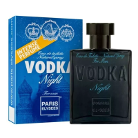 Imagem da oferta Perfume Vodka Night 100ml Edt - Paris Elysees