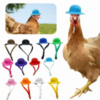 Imagem da oferta Chapéu De Frango Para Homens Pequenos Animais De Estimação Acessórios Engraçados De Frango Top De Galinha Galo,